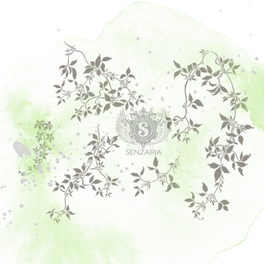 Трафарет - Клематисы набор малый Трафарет - Клематисы набор малый